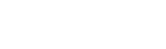 prince2 white logo