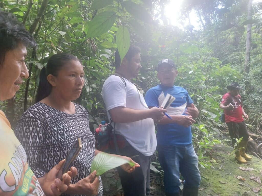 Field work